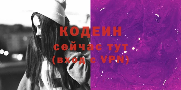 винт Абаза