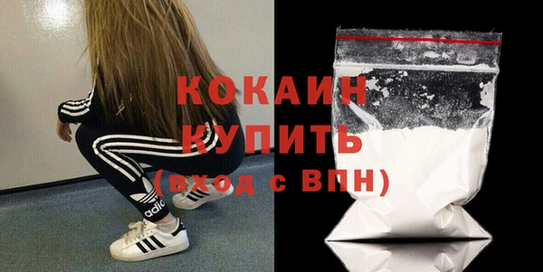 винт Абаза