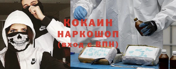 винт Абаза