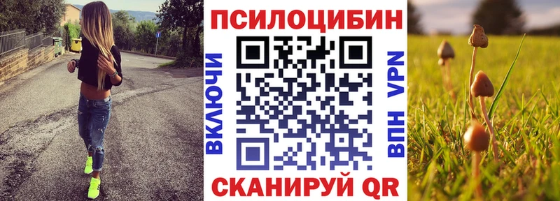 Псилоцибиновые грибы Cubensis  Цоци-Юрт 